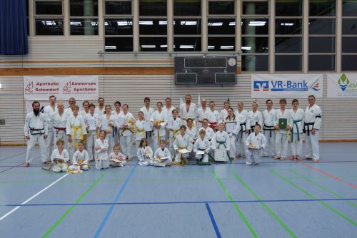 Read more about the article 22 erfolgreiche Taekwondo-Prüfungen – dem ehemaligen Meister gewidmet